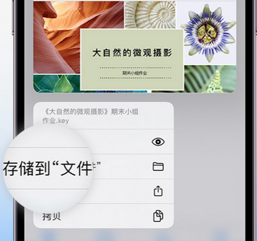 干河街道apple维修中心分享iPhone文件应用中存储和找到下载文件