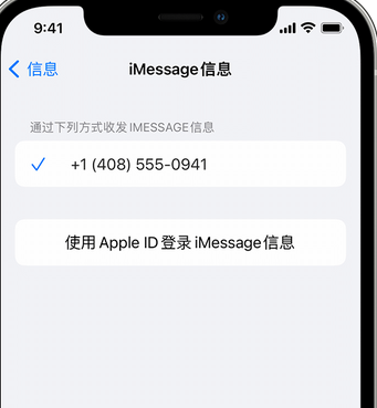 干河街道apple维修iPhone上无法正常发送iMessage信息 