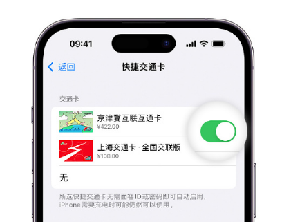 干河街道apple维修点分享iPhone上更换Apple Pay快捷交通卡手绘卡面 