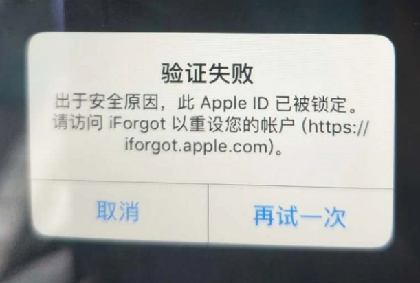 干河街道iPhone维修分享iPhone上正常登录或使用AppleID怎么办 