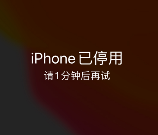 干河街道苹果手机维修分享:iPhone 显示“不可用”或“已停用”怎么办？还能保留数据吗？ 