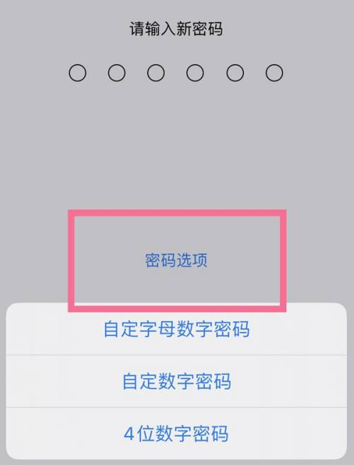 干河街道苹果14维修分享iPhone 14plus设置密码的方法 