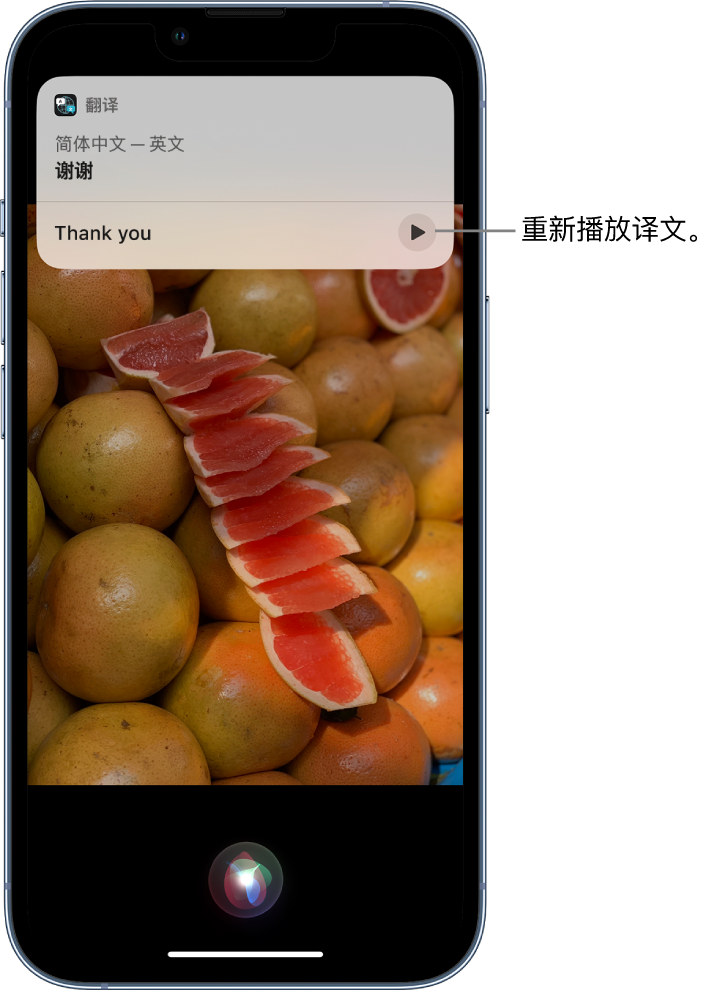 干河街道苹果14维修分享 iPhone 14 机型中使用 Siri：了解 Siri 能帮你做什么 