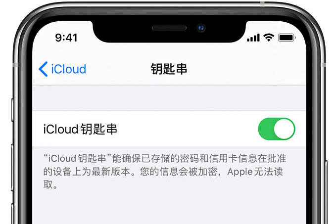 干河街道苹果手机维修分享在 iPhone 上开启 iCloud 钥匙串之后会储存哪些信息 