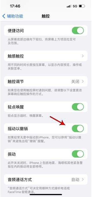 干河街道苹果手机维修分享iPhone手机如何设置摇一摇删除文字 