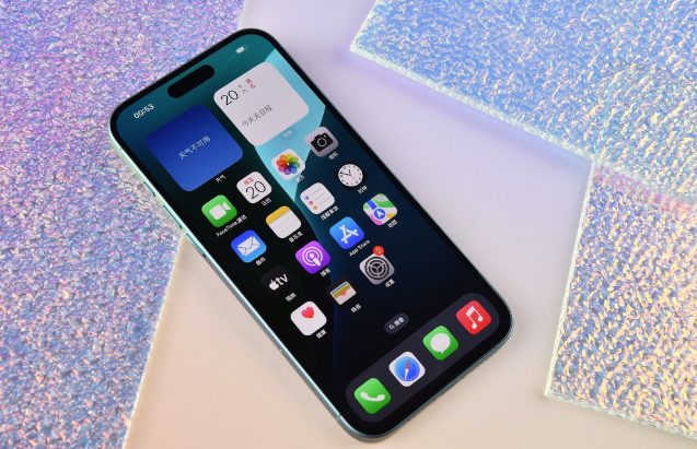 干河街道苹果手机维修分享为什么大家不喜欢苹果iPhone 16 Plus 