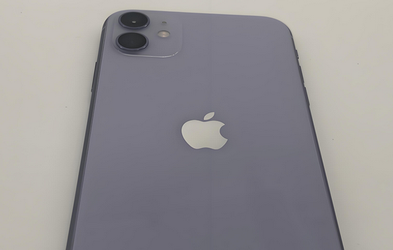 干河街道苹果11系统维修分享iPhone11手机系统崩溃无法开机如何解决